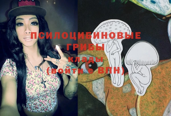 PSILOCYBIN Беломорск