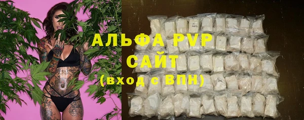 PSILOCYBIN Беломорск